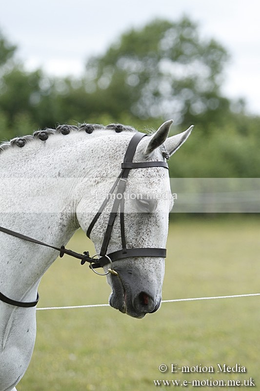 BVR160717-1774 - Ring 3 BVRC Show 16/07/17