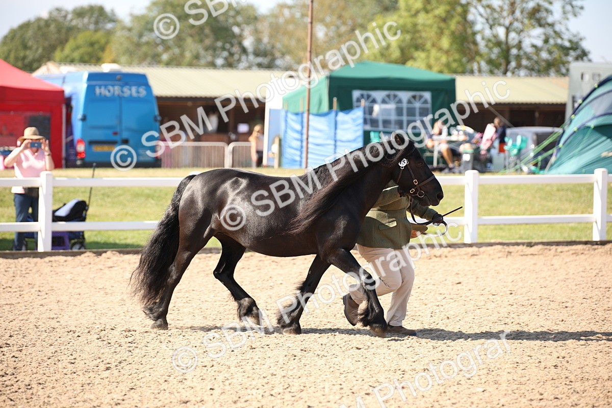 SBM_02676 - Class 16 IH M&M Wildcard