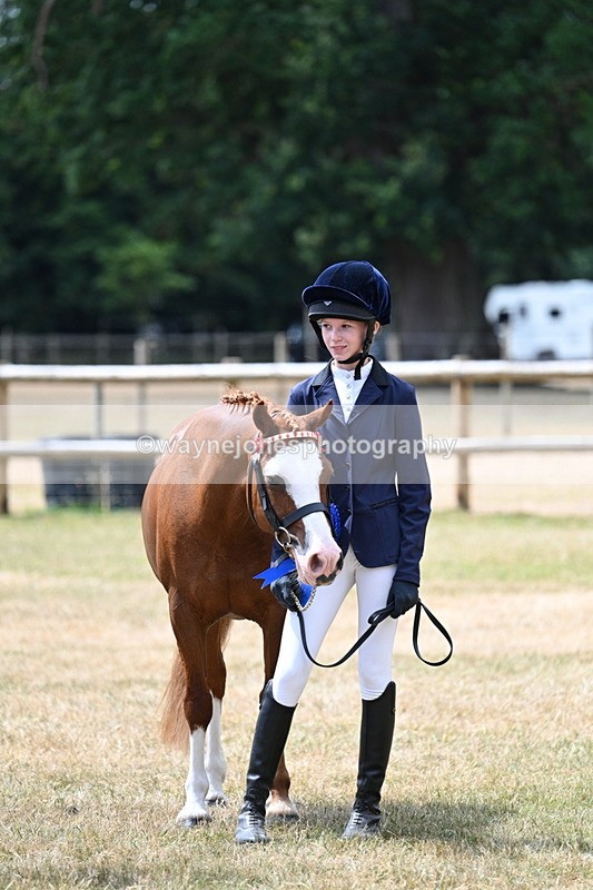 WJ7_2112 - Prettiest Mare Champs