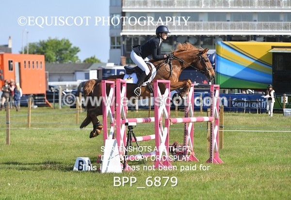 BPP_6879 - CLASS 1 Senior Newcomers/ 1.10m Open