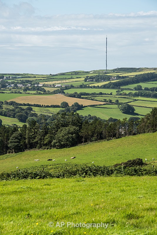 ACP_2500-1 - Rural Views