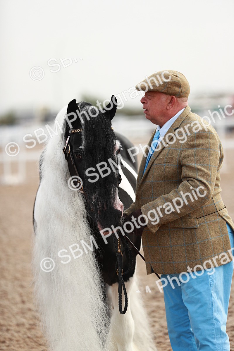 SBM_09517 - Class 201 Best Turned Out IH