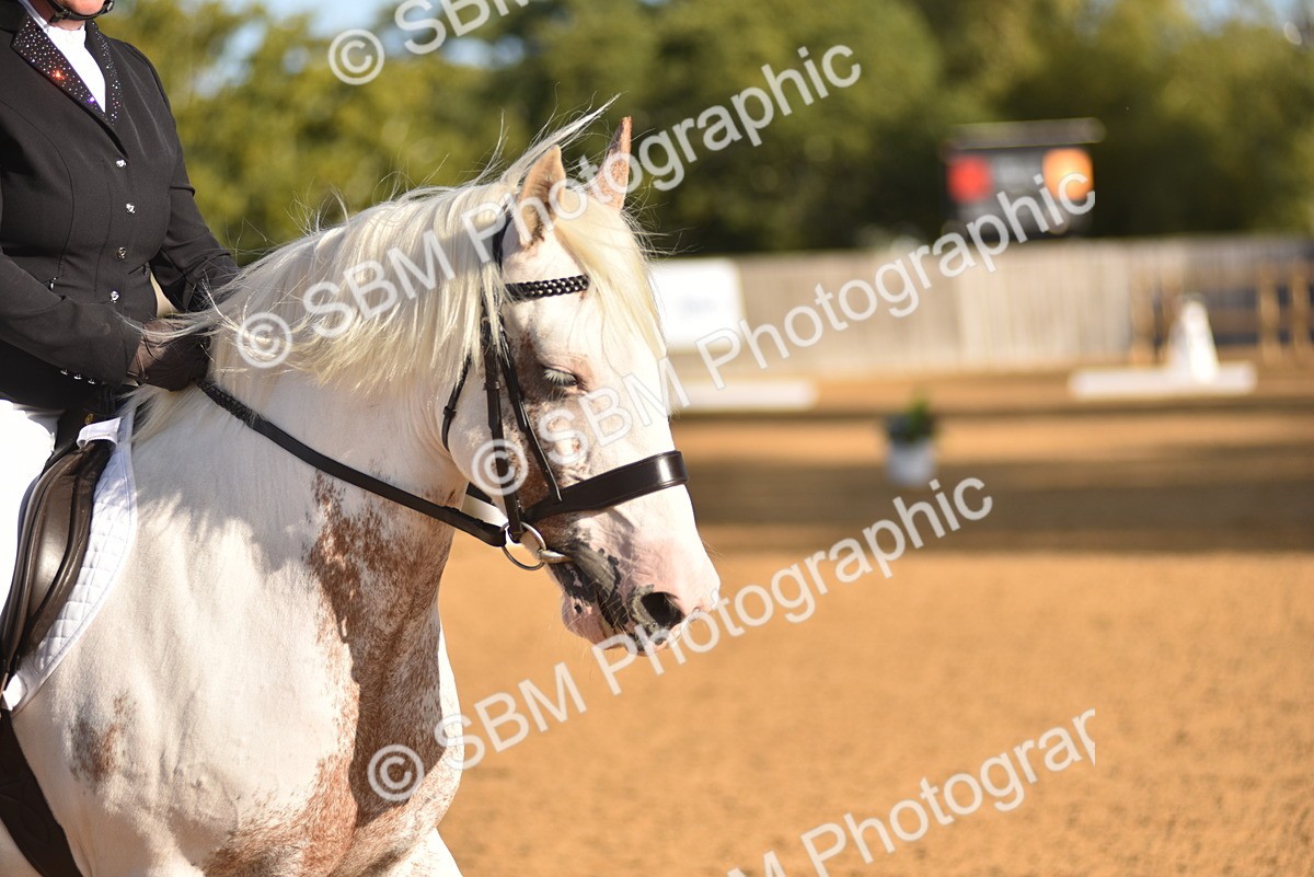 SBM_15732 - D4 - Small Tour Championship Intro 4