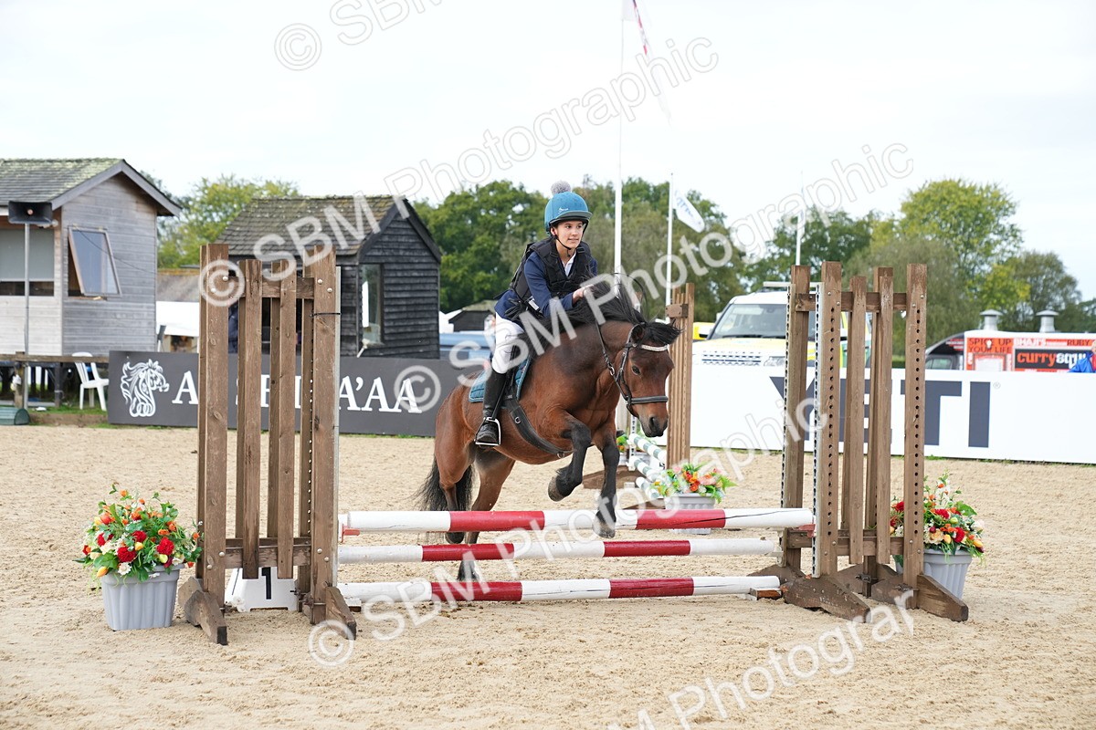 SBM_01924 - J54 - Clear Round 50cm