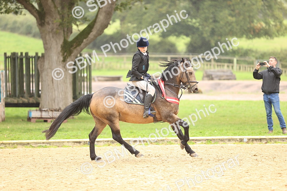 SBM_70111 - Supreme Championship 80cm 85cm