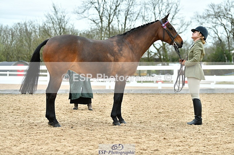 230416A-135527-04971 - Cls 60 Ridden Show Horse
