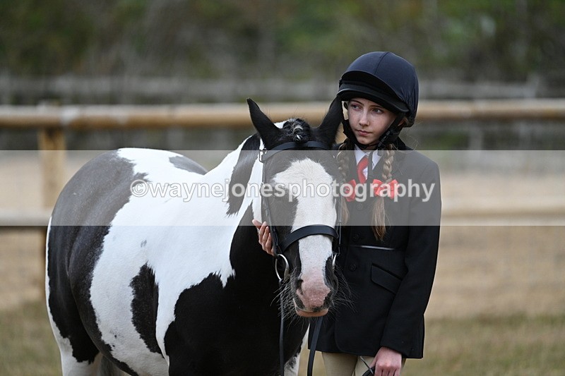 WJ7_8538 - Class 4 Prettiest Mare up to 14.2hh