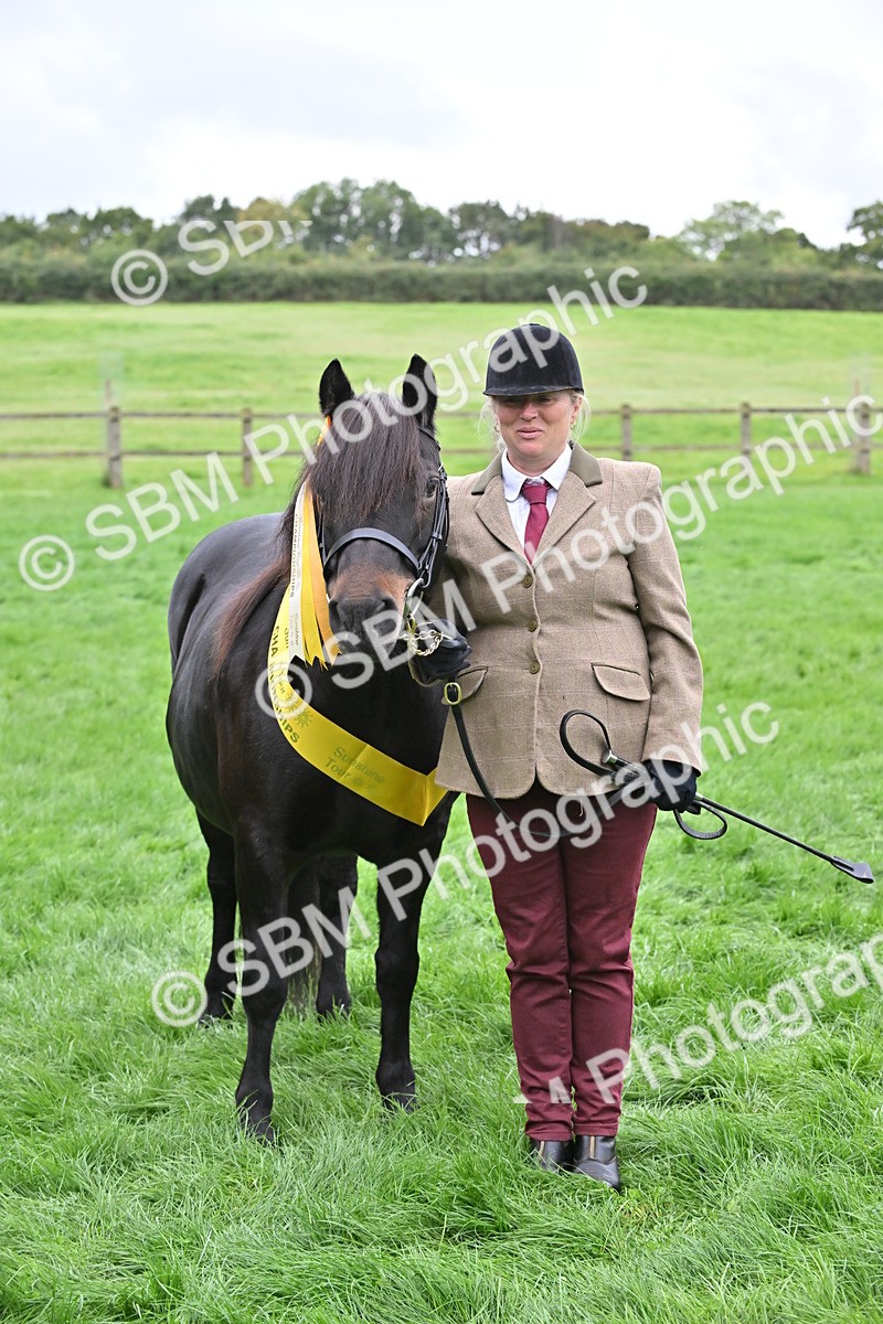 SBM_61047 - S48 - Mountain & Moorland In Hand Small Breeds