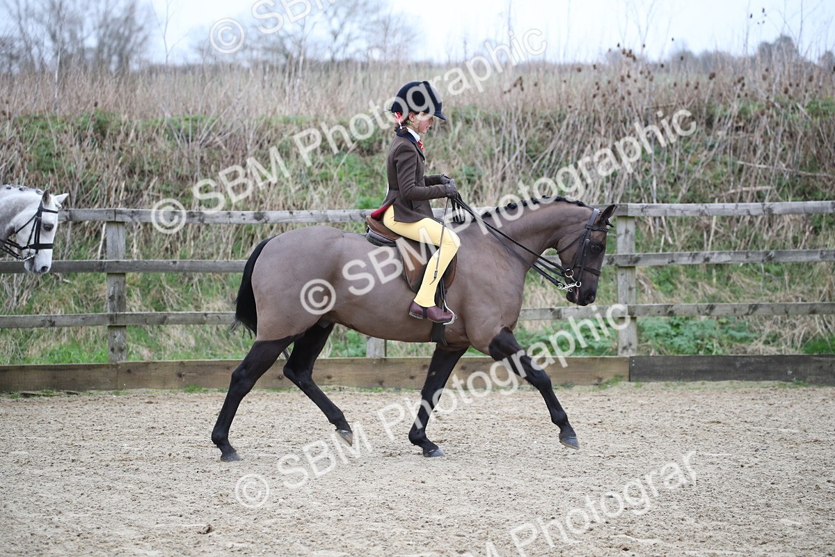 SBM_004639 - Class 5-9 - NPS In Hand-Show Hunter-Intermediate Ridden Inc Ridden Championship