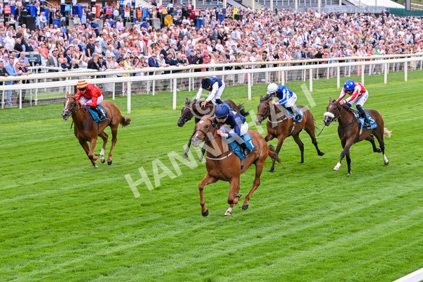 260725-Race 1-Golden Palace-7097 - Race 1 1.25pm £100K ITV7 Jackpot Today EBF Fillies' Novice Stakes