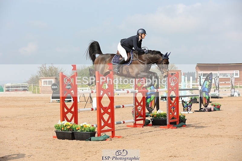 250424-102810-03029 - Cls 33 Young Horse 7yr old