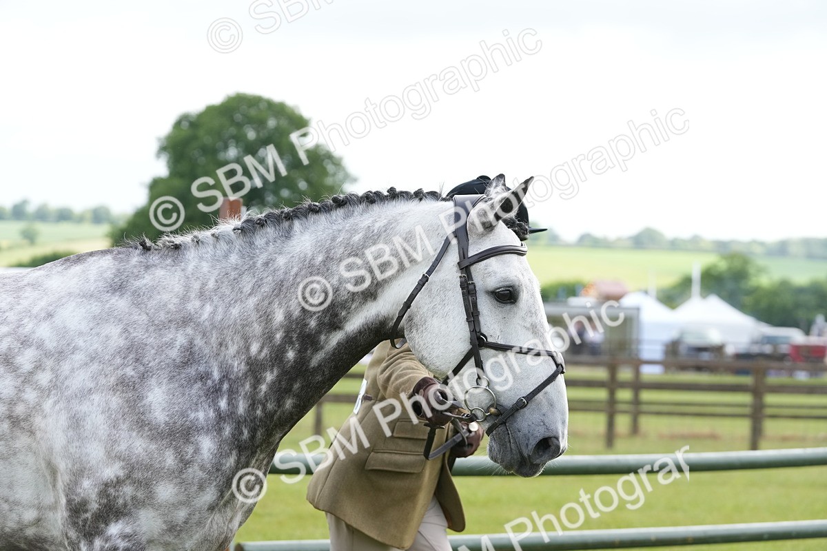 SBM_12762 - Class 97-98 - LIHS BSHA Rising Star Working Show Horse Hunter