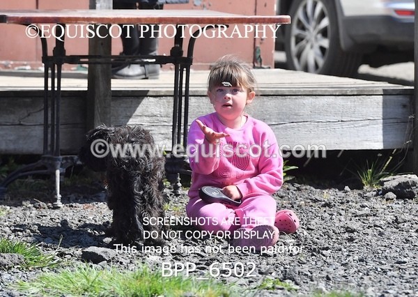 BPP_6502 - CLASS 34 MON Scottish Spring Final 95cm