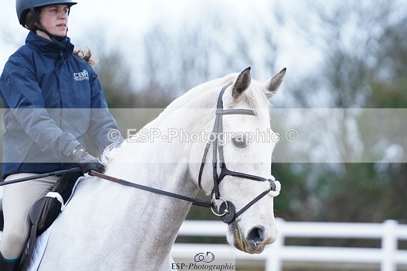 250223-100012-03187 - Cls 19 BlueChip JJ Winter Discovery Champ Q