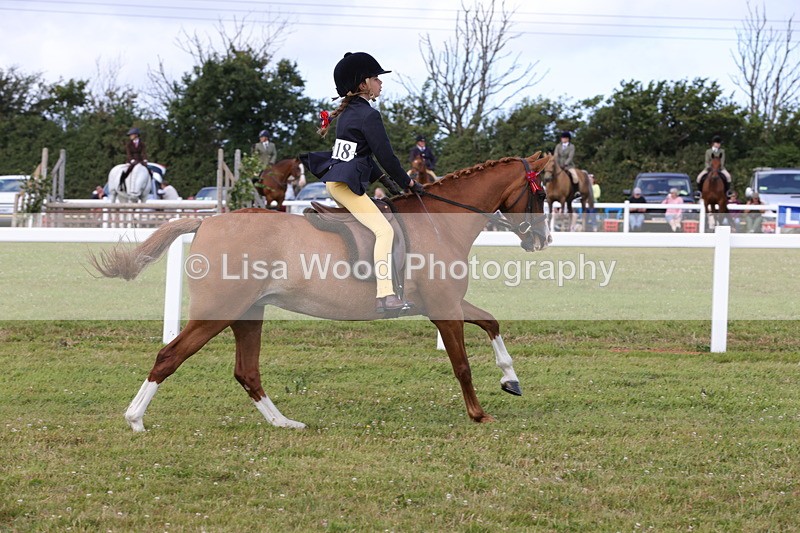 1X9A3918 - Class 31: Show Pony 148cm and under