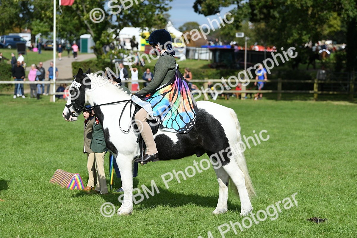 SBM_46988 - S12 - Family Horse & Pony
