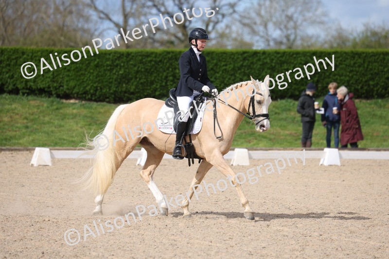 20260405-0210 - Class 3 - Novice 5