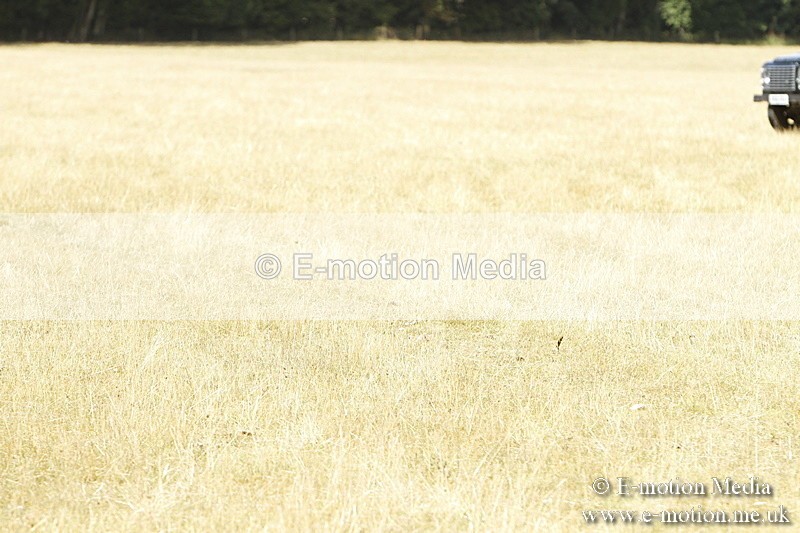 _BS_0953 - BVRC Show 2018 Ring 3