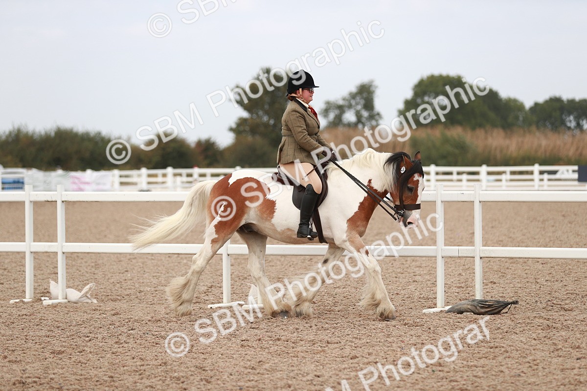 SBM_16622 - Class 214 Ridden Cob