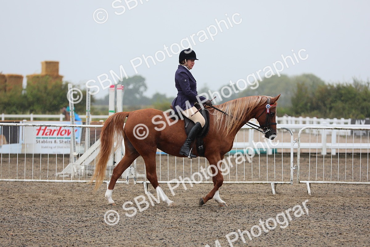 SBM_20270 - Class 803 - Ridden Combination 65+