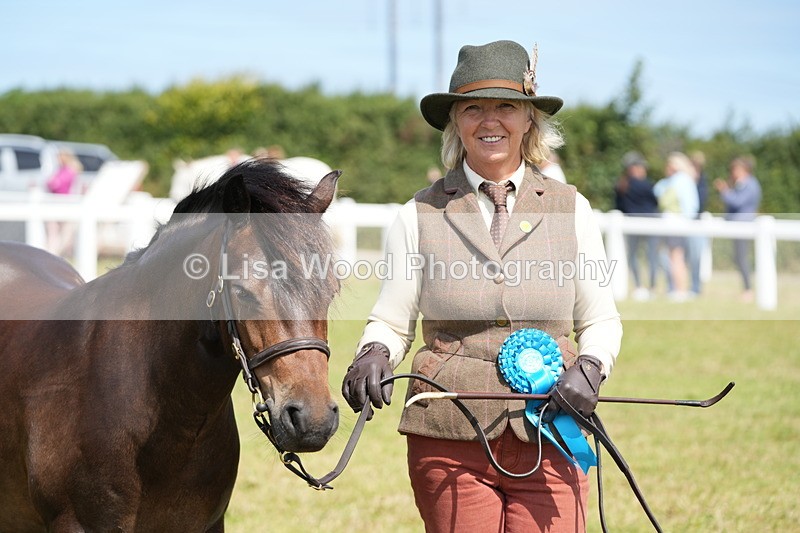 DSC05638 - Class 50: NPS M&M 4 years and over Small Breeds