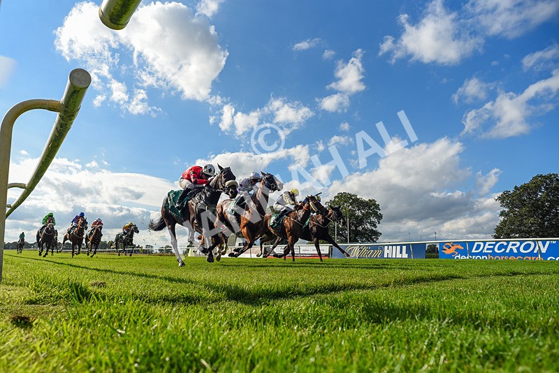 140926-Race 4-Lamlash Bay-7649 - Race 4 3.51pm Sapphire Selling Handicap