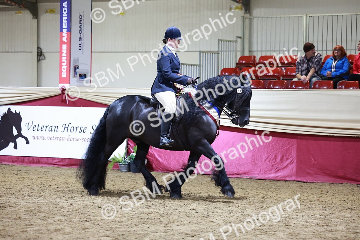 SBM_20918 - Class M - Equitation Champ