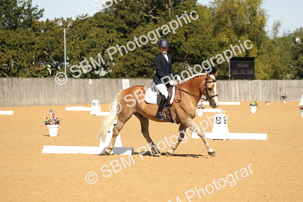 SBM_19742 - D10 - Small Tour Championship - Prelim 2