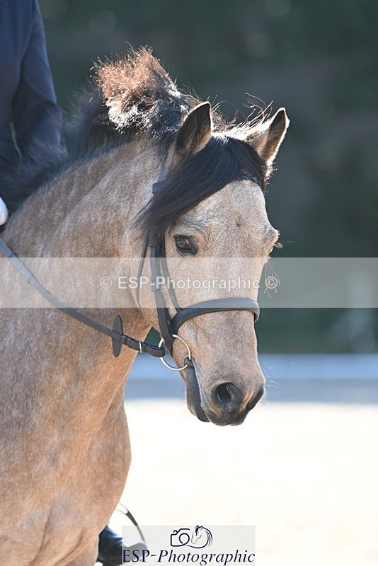 231110-120921-00596 - Cls 3 Novice 22