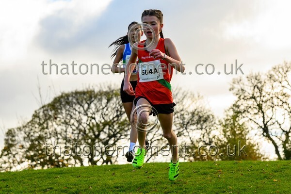 NatRel25-913262 - Young Female Set One