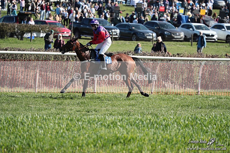 PtP 210326 275 - VWH Cirencester Races 21/03/26