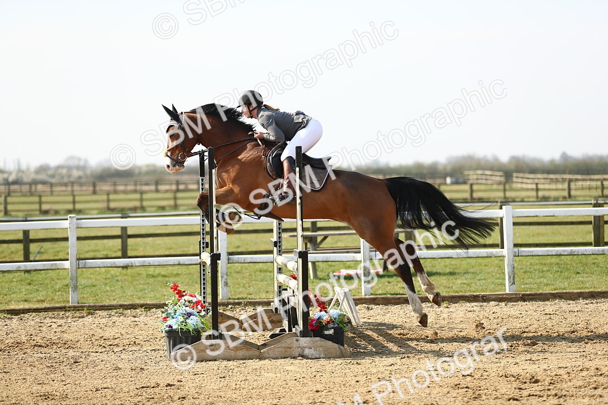 SBM_002019 - Class 8 - Senior British Novice - 90cm