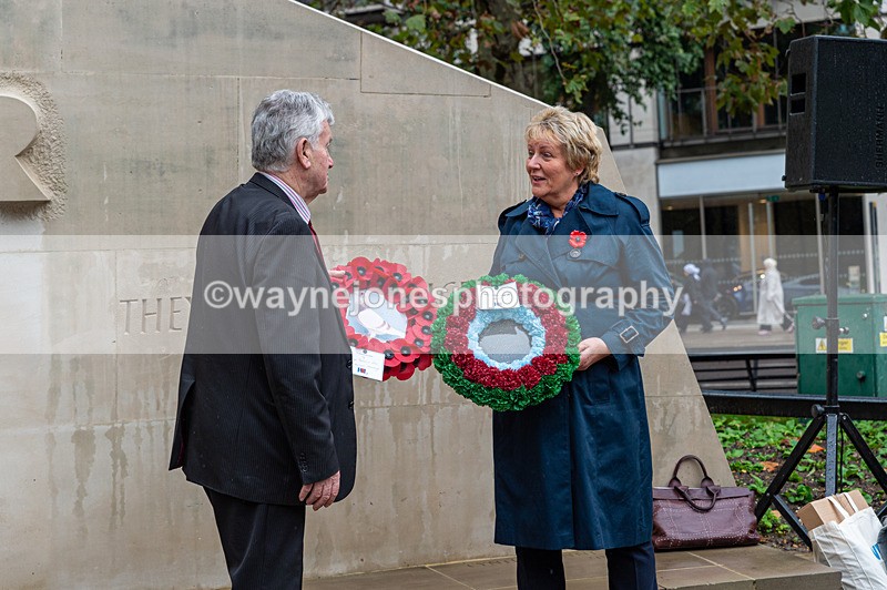 NGP_7021 - Animals In War Memorial - 10-11-23