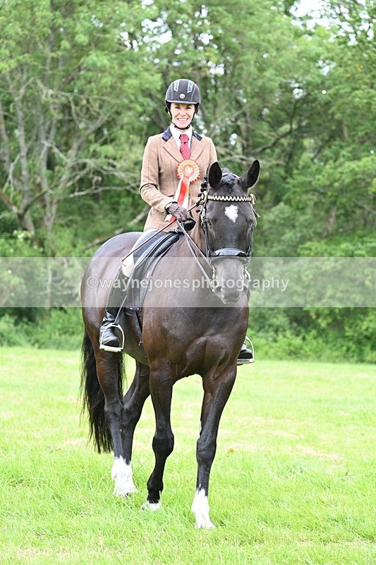 WJ7_4352 - Class 14A Handsome Gelding