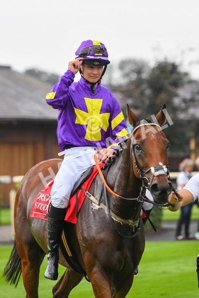 100923-Pony Race 2-Its Fatherted-0327 - Pony Race 2 12.45 The Dragon (TV and Film) Studios Pony Race 148cm & Under