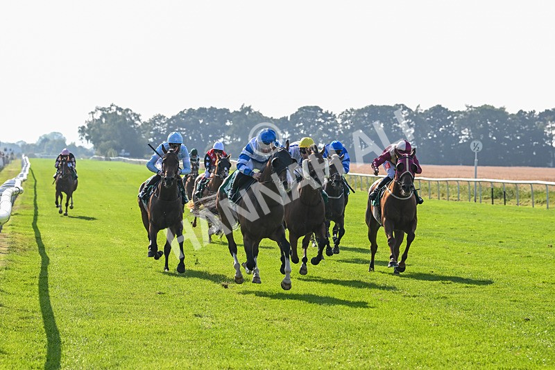 300824-Race 6-Havana Sky-6371 - Race 6