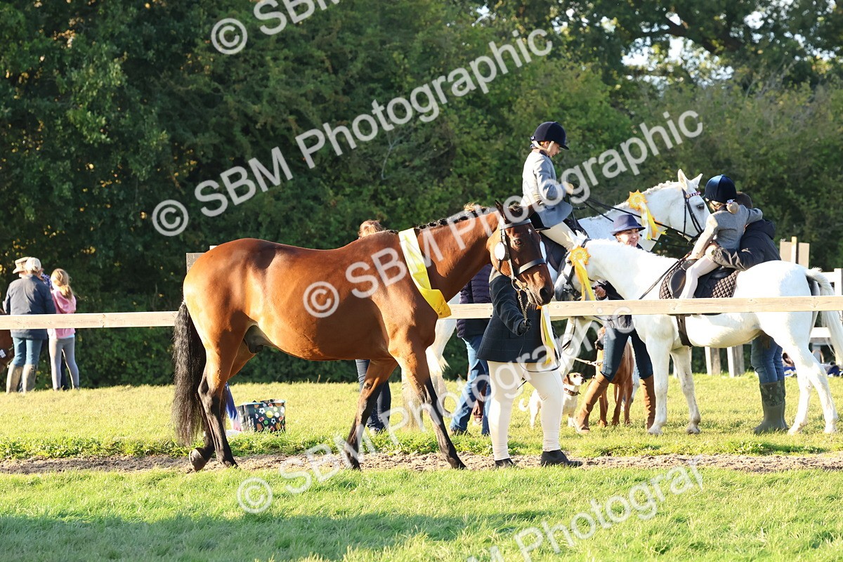 SBM_53114 - Veteran Supreme Championship