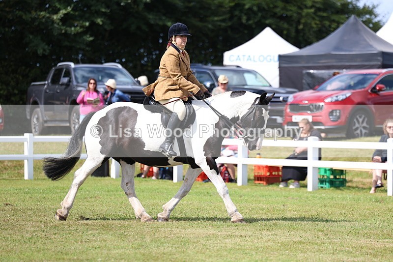 3E7A9680 - Class 5: Rising Star Lightweight/Heavyweight Cobs