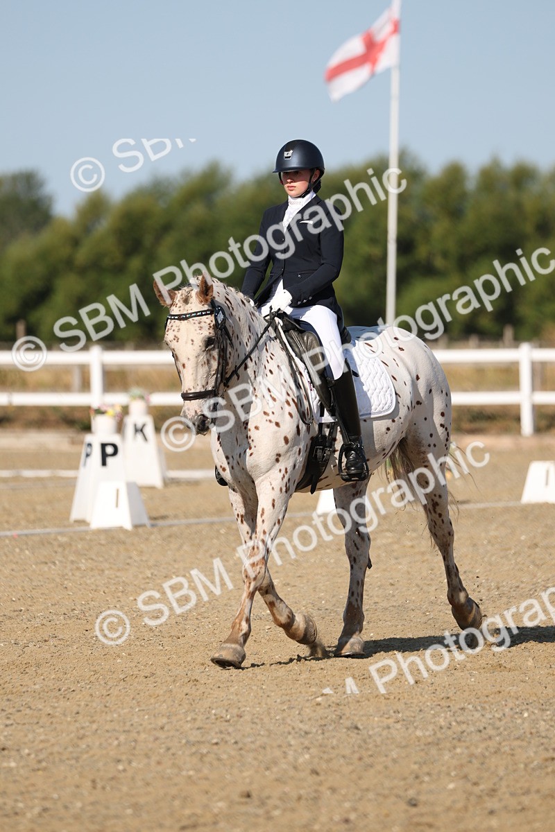SBM_012665 - Class 1 - P5 Bronze 9.00.10.12