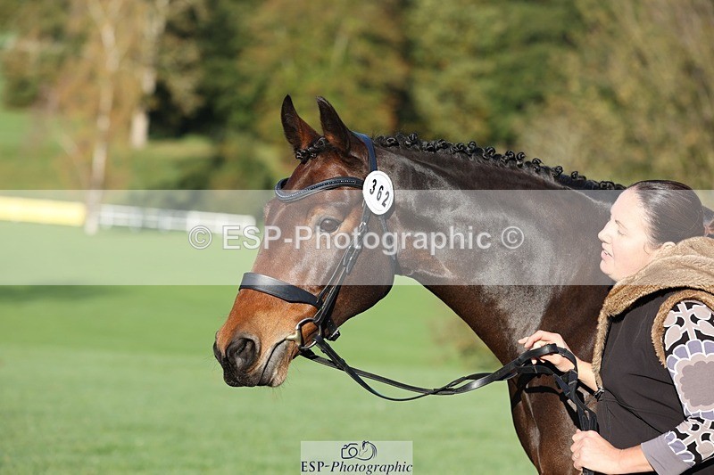 241027-084411-14785 - 362-Vicky.Stacey-HIGHDALE.AUTUMN.SUNRISE