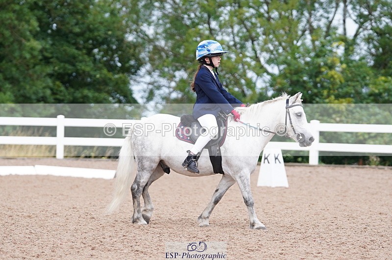 240809A-110018-00700 - Dressage Competition
