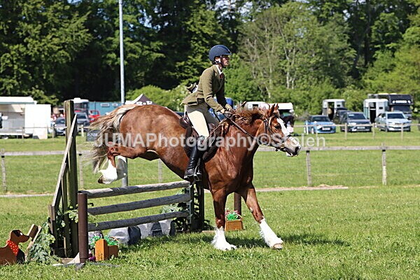 IMG_4356 - Working Hunter