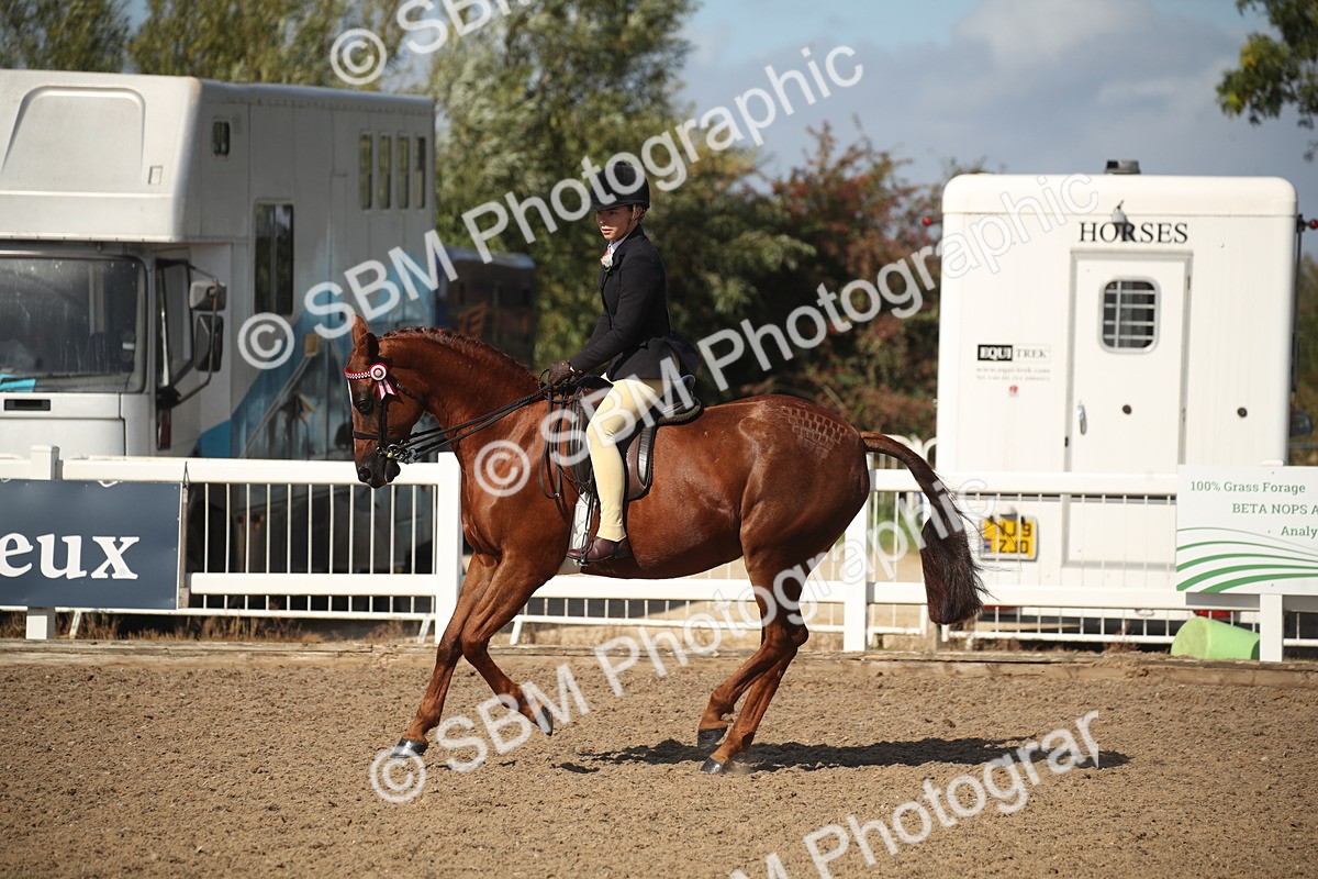 SBM_22942 - Class 603 - 2026 - Ridden Pre Vet