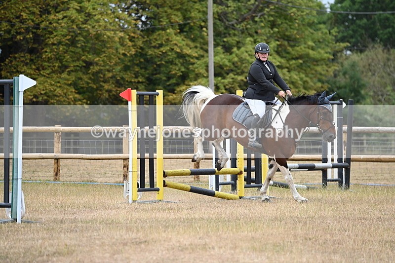 WJ6_0083 - Class 13 Novice Jumping 60cm