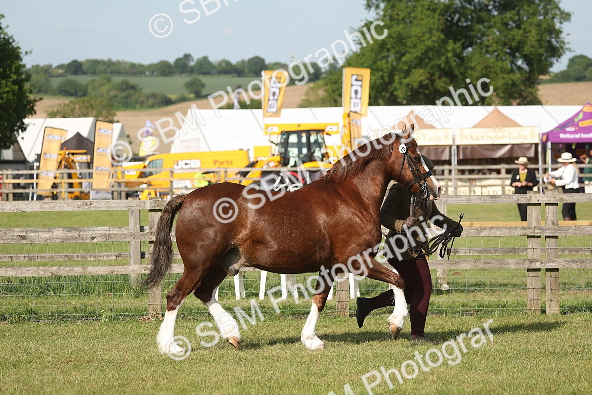 SBM_10300 - Class 33-38 - SSADL RIHS Qualifiers