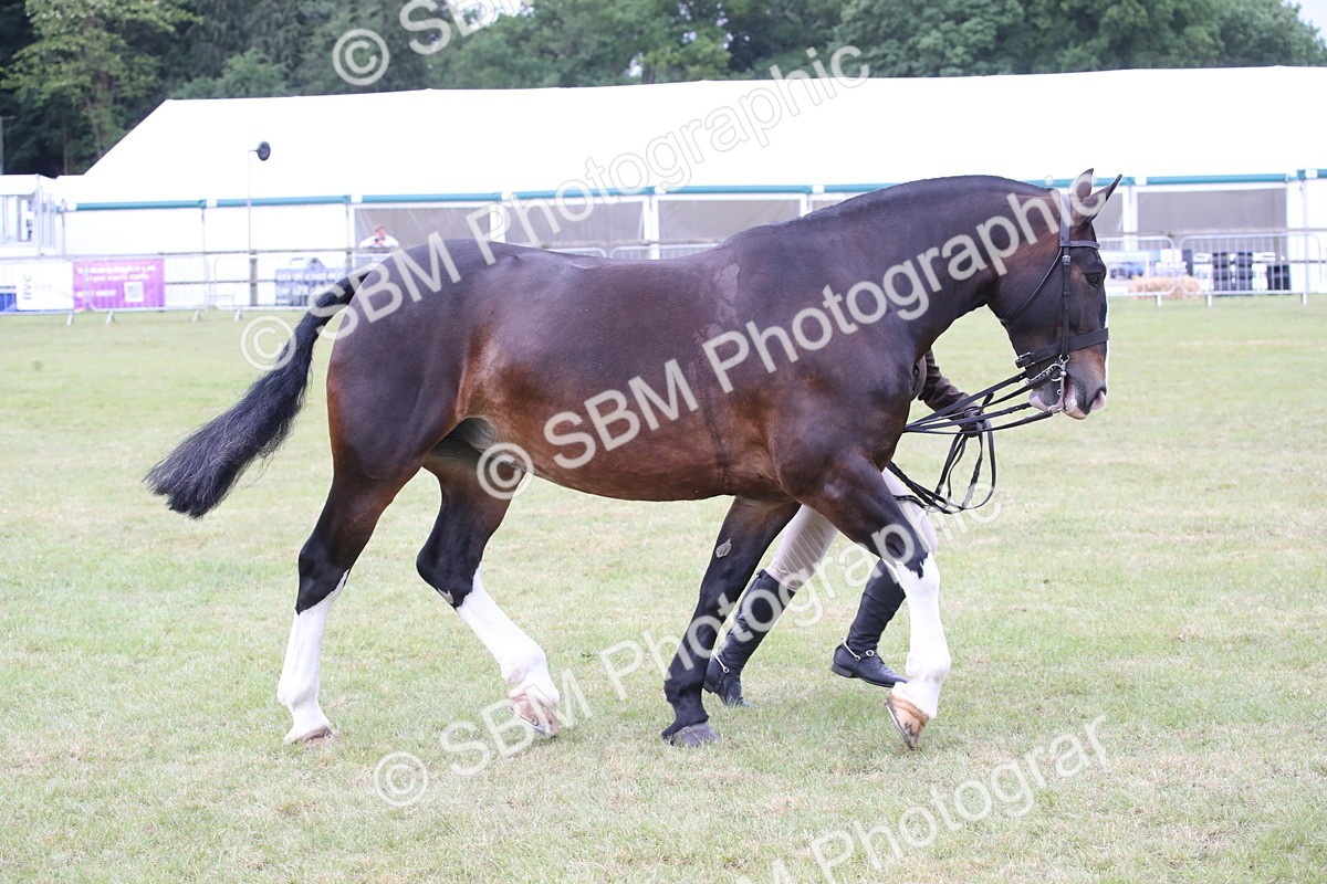 SBM_11271 - Class 92-93 - LIHS BSHA Rising Star Cobs