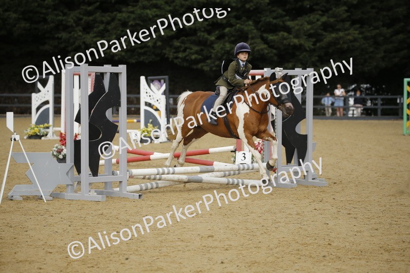 20250622-1295 - 40cm