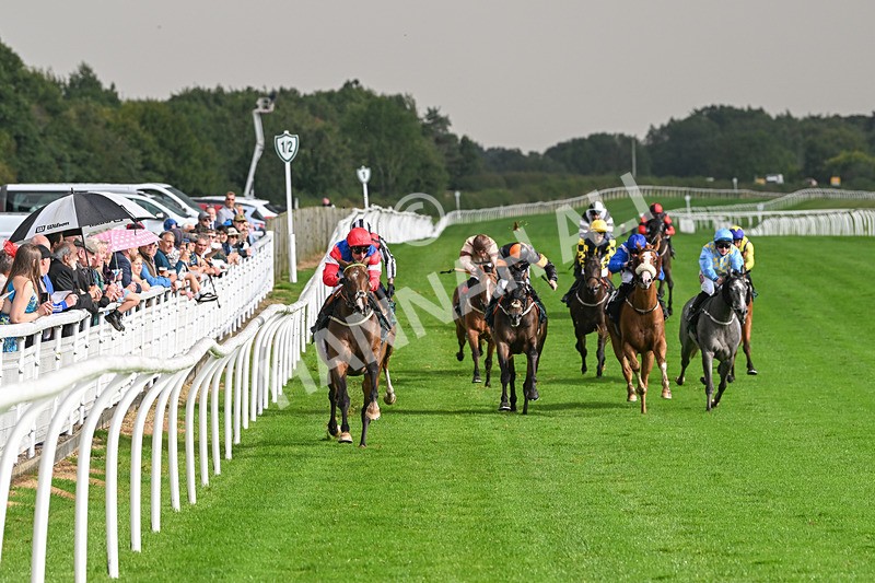 280824-Race 4-Desert Dream-4365 - Race 4