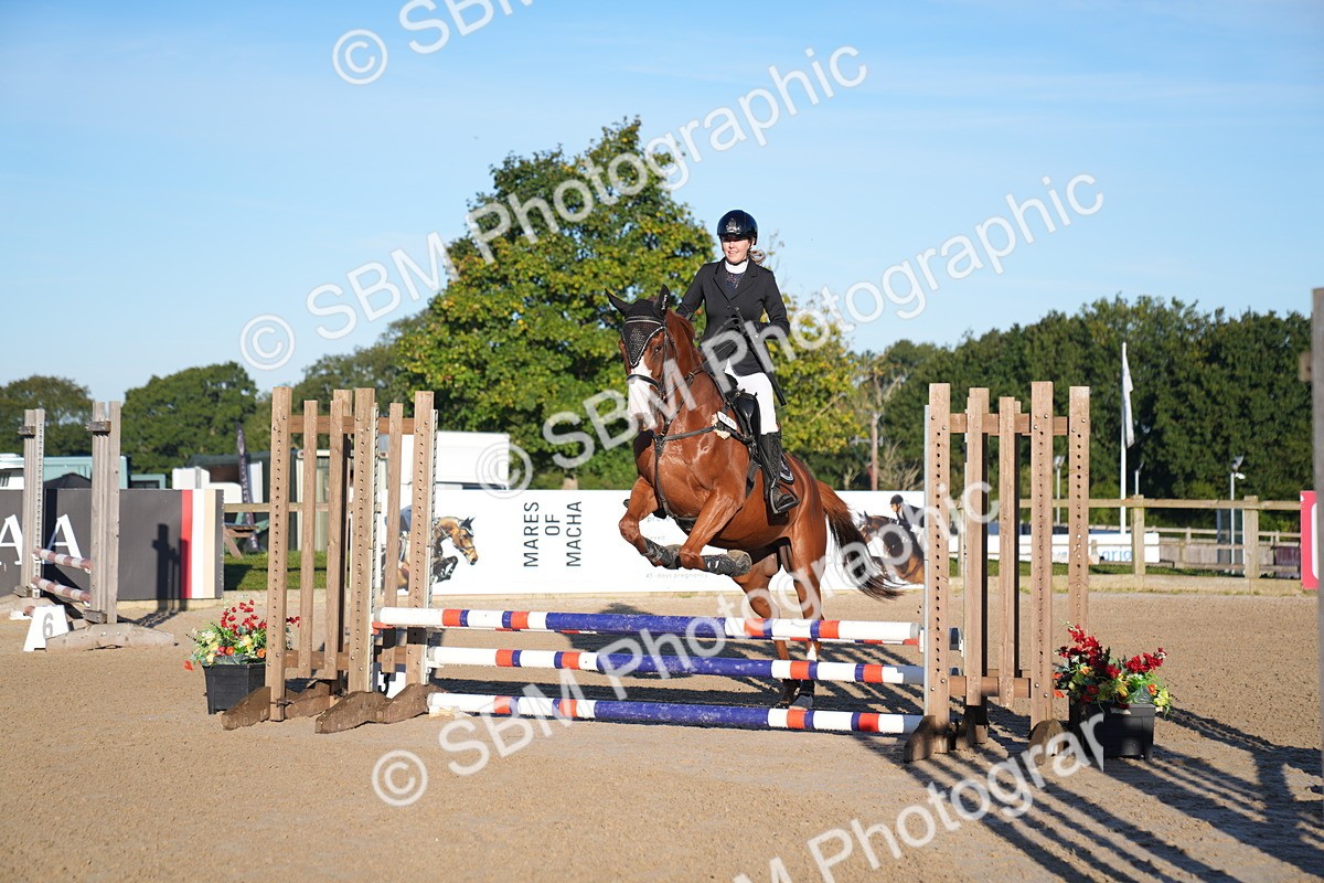 SBM_13965 - J59 - Clear Round - 65cm