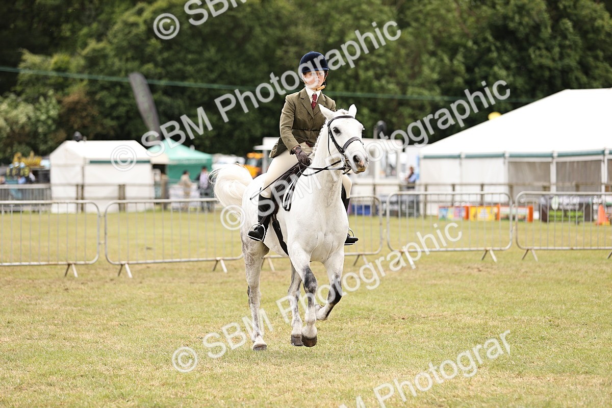 SBM_14591 - Class 88-89 - LIHS BSHA Rising Star of Ridden Hunter Type